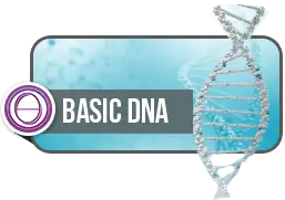 ThetaHealing Basic DNA